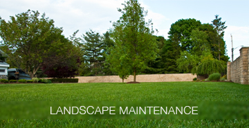 Landscape Maintenace